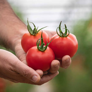 4 tipos de tomates para sorprender a tus invitados en la cena de nochebuena