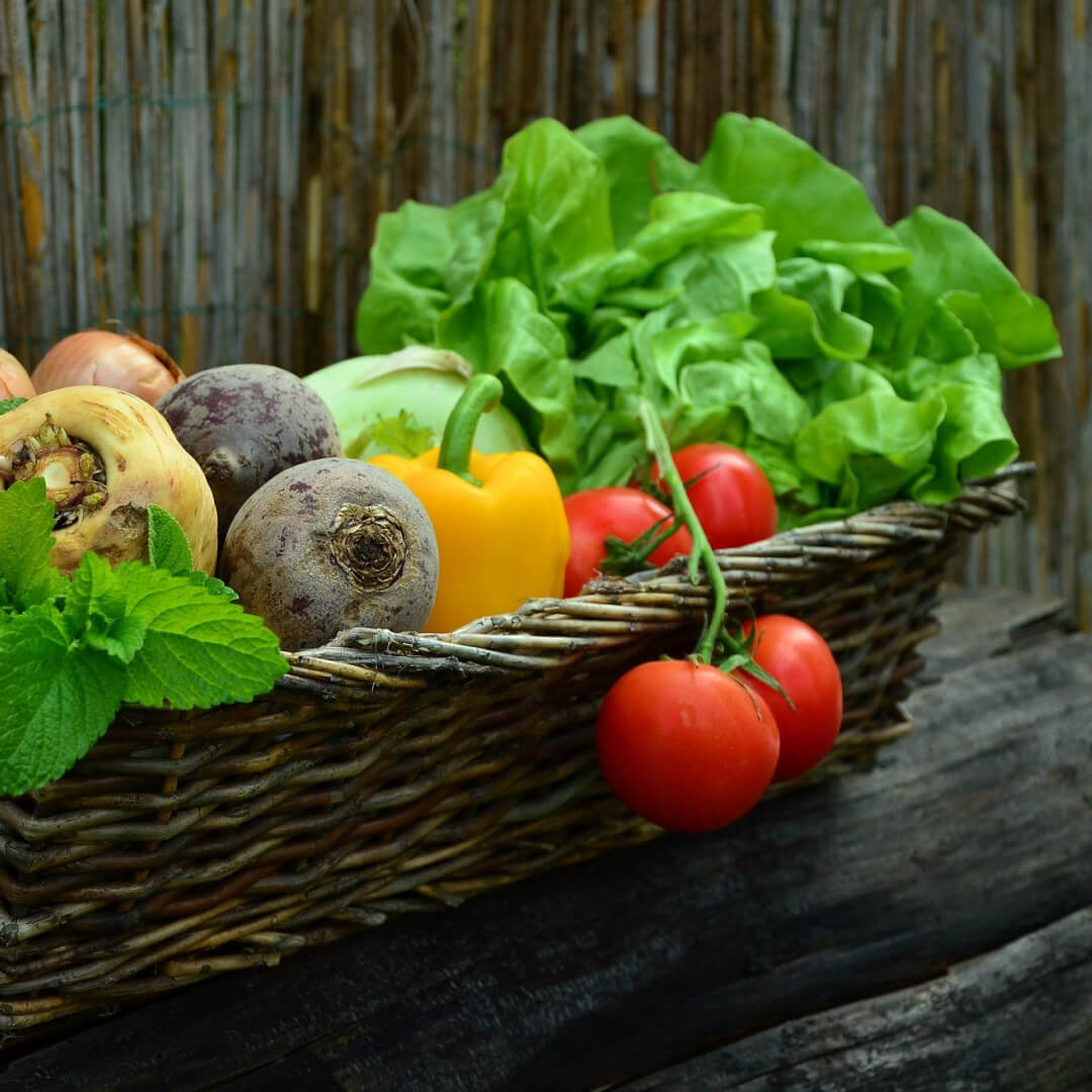 Razones para consumir hortalizas ecológicas